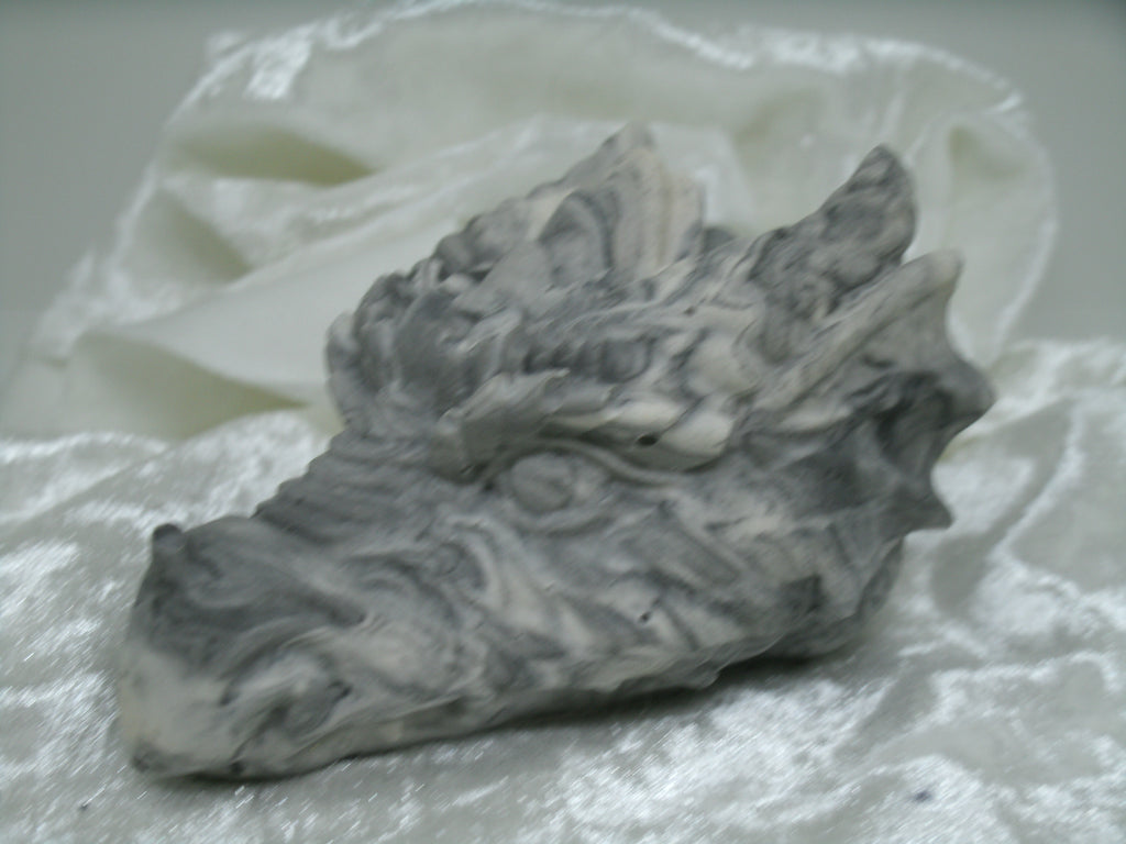 tete de dragon
