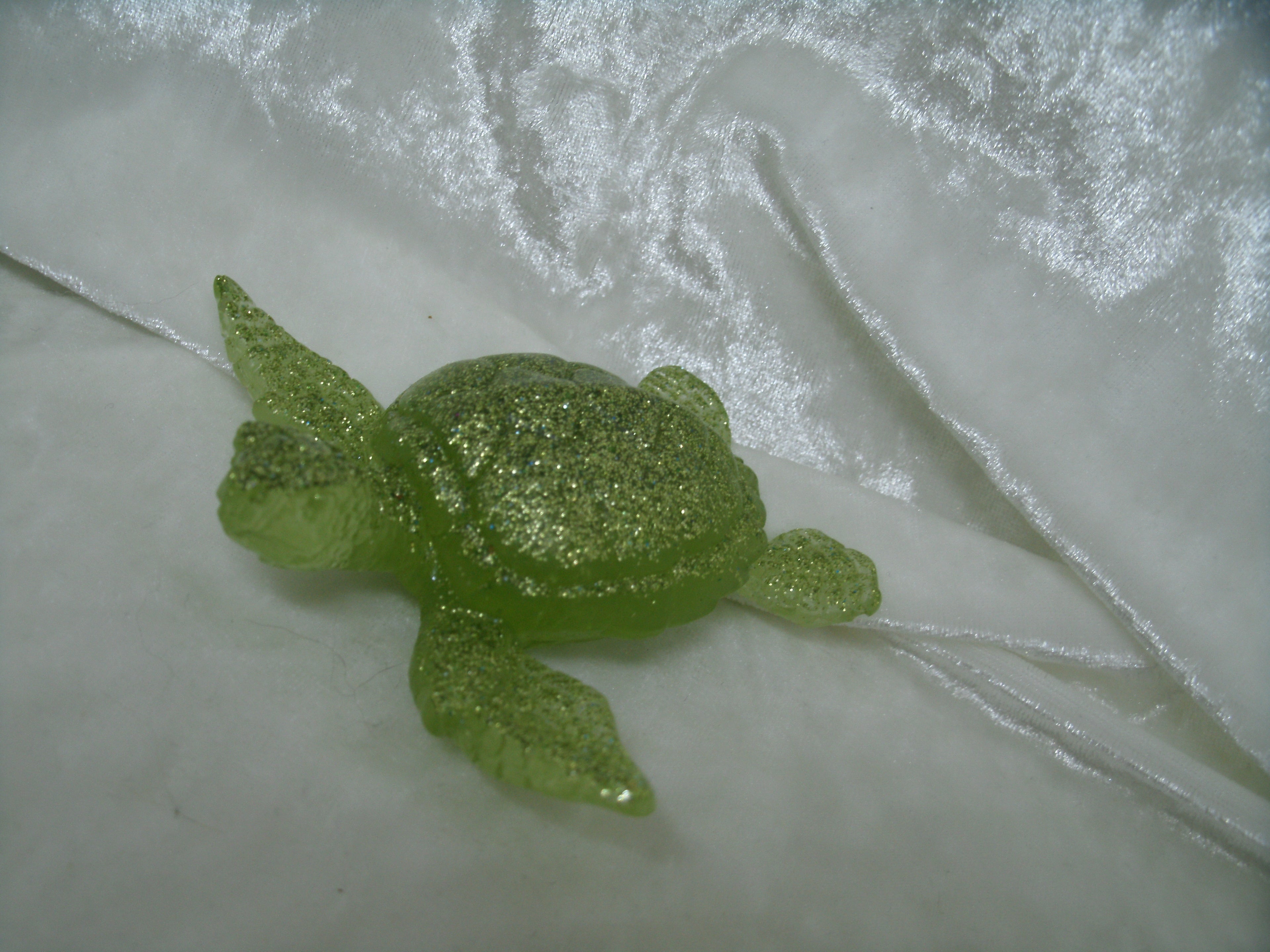Tortoise